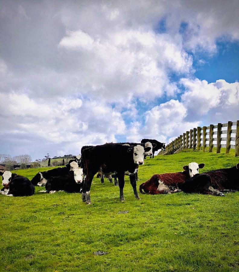 Lifestyle Guesthouse Dairy Flat エクステリア 写真